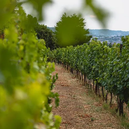 Tenuta Ronco Regio Bauernhof *