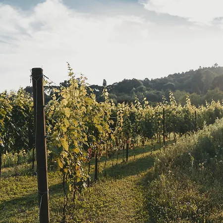 Bauernhof Tenuta Ronco Regio San Fermo della Battaglia