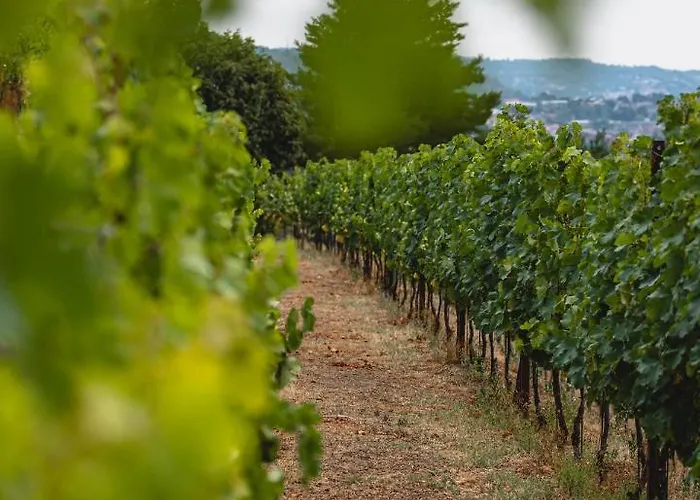 Tenuta Ronco Regio Agroturismo *