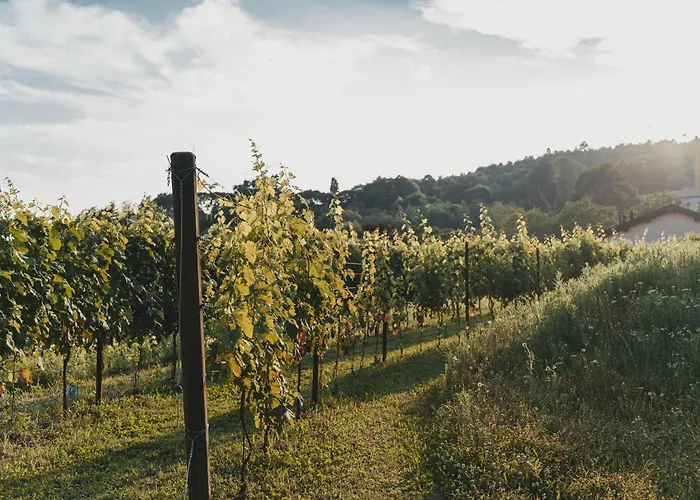 Agroturismo Tenuta Ronco Regio San Fermo della Battaglia
